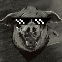 neudachnek avatar