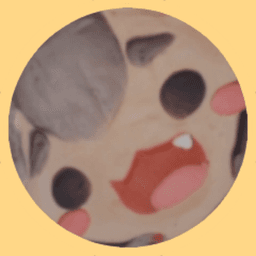 NowaConQueso avatar