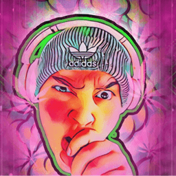 PopTartBowgee avatar