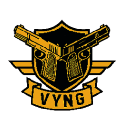 VYNGA_Twitch avatar