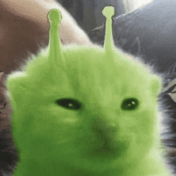 Meowbarss avatar