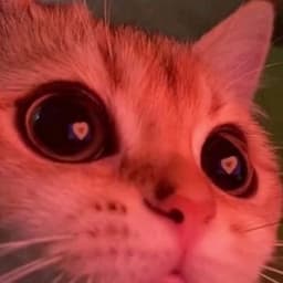 SleepyDino1337 avatar