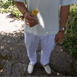 dytsd avatar