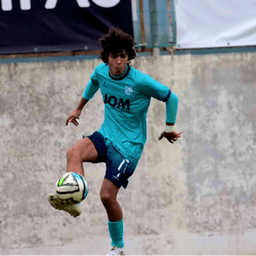 pedromsk10 avatar