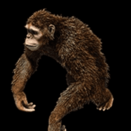 monkeyboyaoe avatar