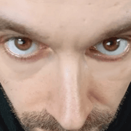 Berdydaft avatar