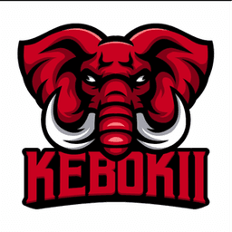 KebokiiValid avatar