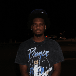 NVSIID avatar