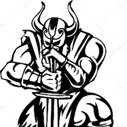 vapeingviking avatar