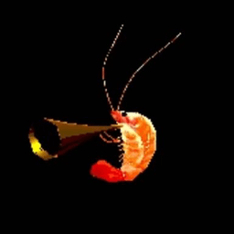 SingularShrimp avatar