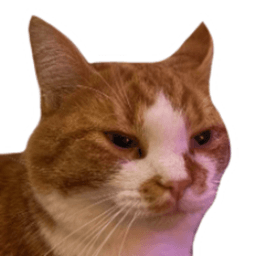 neok avatar