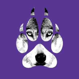 wolf_shadow avatar