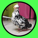 OnePortugueseFarm avatar