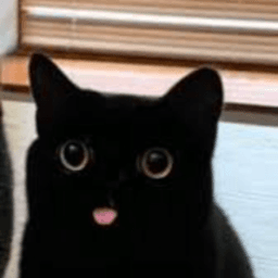 foogatti avatar