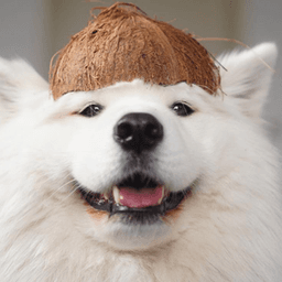 kravsil avatar