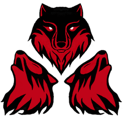derWolfpack avatar