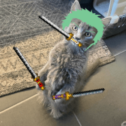 skanervi avatar