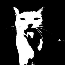 mandisimm avatar