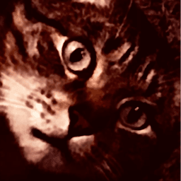 dooodal avatar