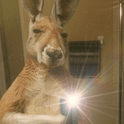 govaus avatar