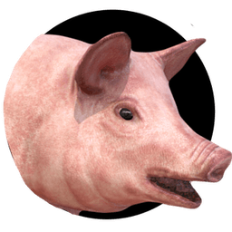 TeamPorkSandwich avatar