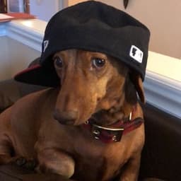 mathiaskkl avatar