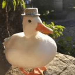 quackerquack123 avatar