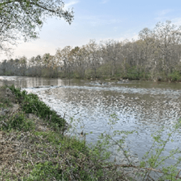RiverWatch avatar
