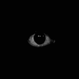 deathenin avatar