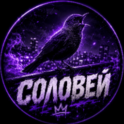 SOLOVEY_OFF avatar