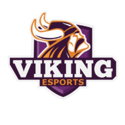 MVCesports avatar