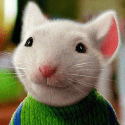 Twisteds avatar