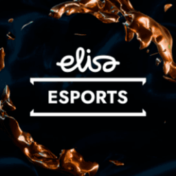 ElisaEsports avatar