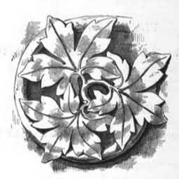elkcarc avatar