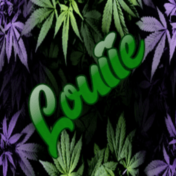 LouiieLouiee avatar