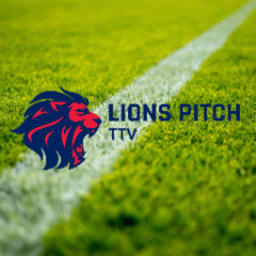 LionsPitch avatar