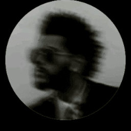 troiter_ avatar