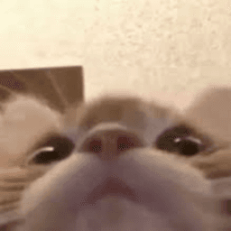 Perscope avatar