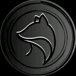 EinfachFoxyz avatar