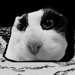 noika__ avatar