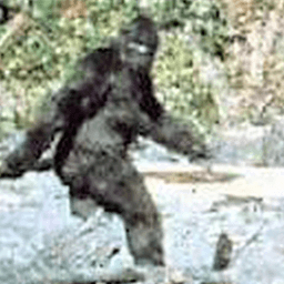 DiaBeticSasquatch avatar