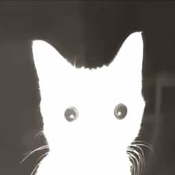 VERMSKI001 avatar