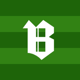 somoselboro avatar