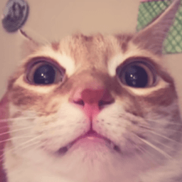 minosura avatar
