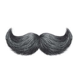 Sir_Schnorres avatar