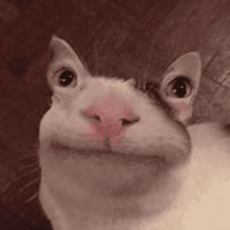madamdam12333 avatar