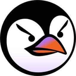 pingwindvfu avatar