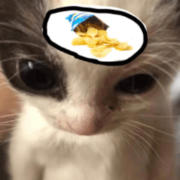 lawlijs avatar