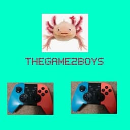 thegamezboys avatar