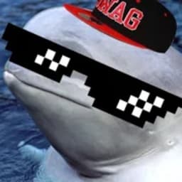 BelugaBill avatar